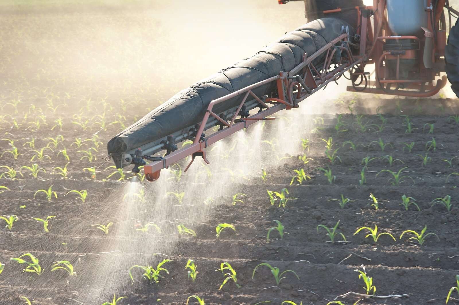 FAO'dan gübre kıtlığı uyarısı