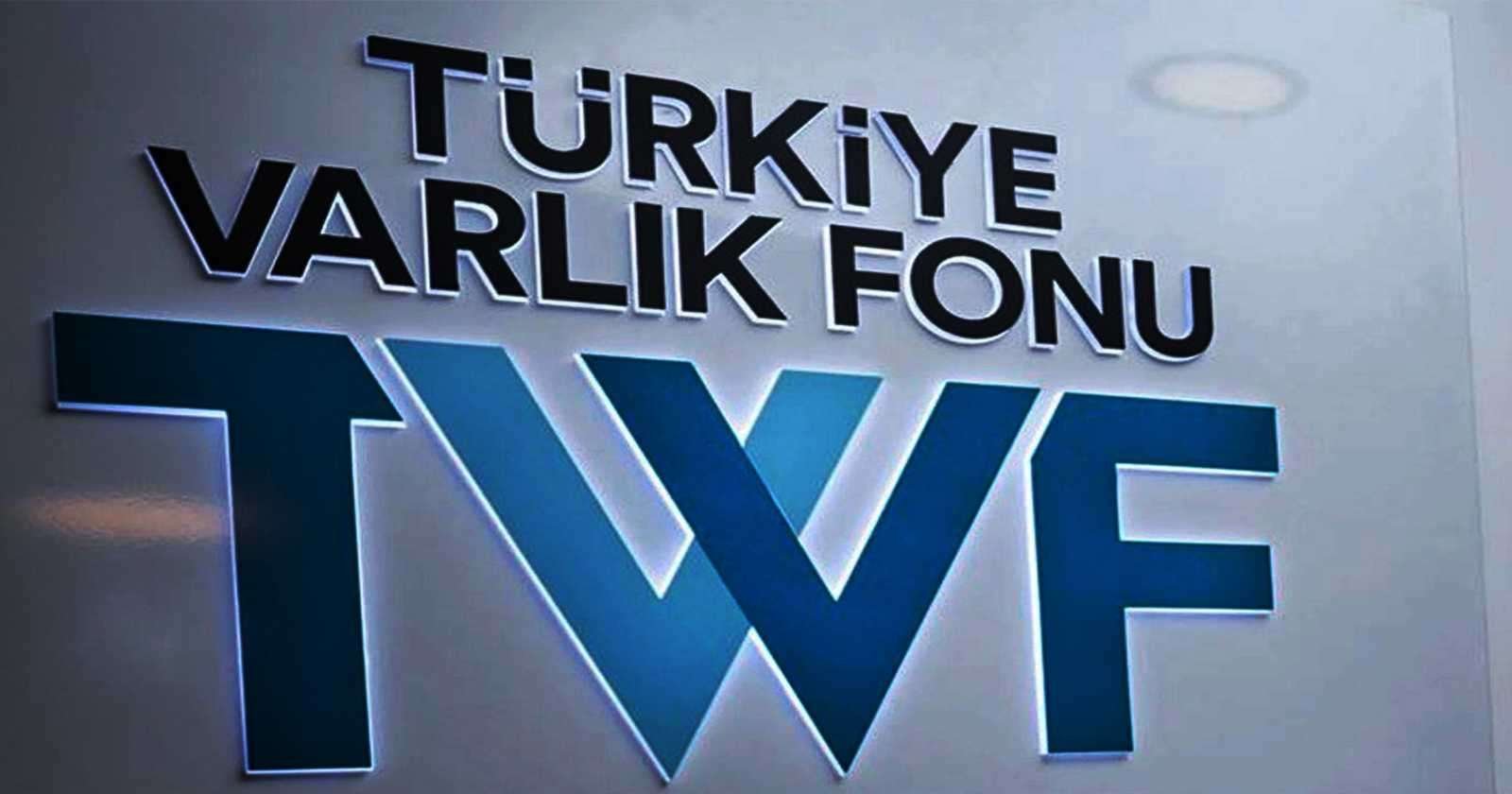 Hazine'ye en fazla borcu bulunan kuruluş Türkiye Varlık Fonu oldu