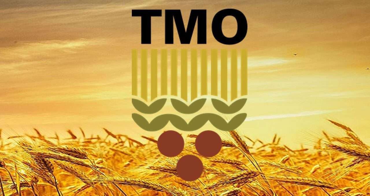 TMO'dan üreticilere 5,3 milyar liralık ürün bedeli ödemesi